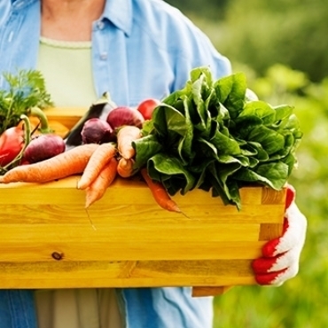 Reeducação Alimentar